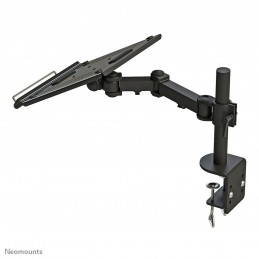 NB AKCESORIA DESK MOUNT 10-22" NOTEBOOK-D100 NEWSTAR