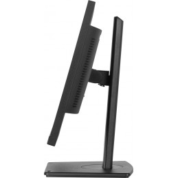 Monitor Usb-C, Lan, Dp-Out (Dock), 300Cd