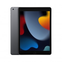 Apple Ipad Wi-Fi 9. Generacji 256Gb 10,2''