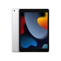 Apple Ipad 10.2 Wi-Fi 256Gb Silver