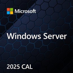 Ms Windows Svr Cal 2025 Pl Clt Device Cal Oem