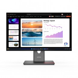Monitor Lenovo Thinkvision P24Q-40, 23,8", Systemy Ochrony Przed Włamaniem (Ips), Proporcje 16:9, 120 Hz, 4 Ms, 2560X1440, 300 C