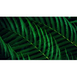 Philips 5000 Series 24B2G5301/00, 60.5 Cm (23.8"), 1920 X 1080 Piksele, Full Hd, Lcd, 4 Ms