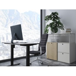 Wyposażenie Biurka W Pojedynczy Silnik Elektryczny 70Kg Sw Lite Spedycja, Wysyłka