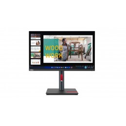 P24q-30(D22238QP1)23.8inch Monitor-HDMI
