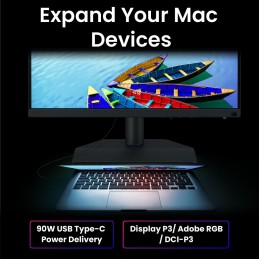 SW242Q 60.5CM 23.8IN IPS/1920X1080 5MS 250NITS 16:9 DP/2X