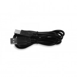 Zasilacz awaryjny  MicroUPS 1000VA/600W 1*9Ah